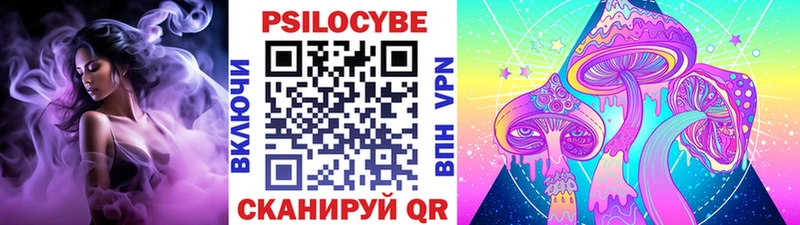 Псилоцибиновые грибы мухоморы наркотики Кисловодск